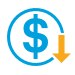 Low cost icon
